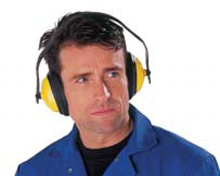 Budget Ear Defender