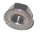 Buy Online - Flange Nuts