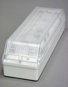GalvanisedShaft Lighting Kit BH28 2x8W Bulkhead