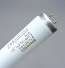 Standard T12 Fluorescent Tubes