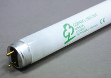 T8 Triphosphur Fluorescent Tubes