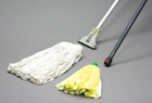 Buy Online - Vileda And Kentucky Mops And Handles